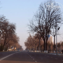 фото из отзыва ID 1248360