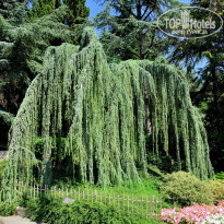 фото из отзыва ID 1253323