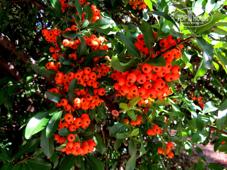 New photos from tourists Ovari Pension 3*
