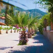 фото из отзыва ID 1266306