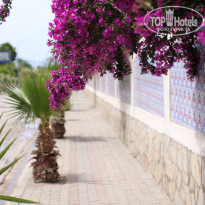 фото из отзыва ID 1266306