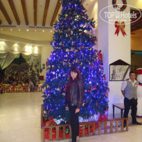 фото из отзыва ID 1268108