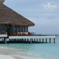 фото из отзыва ID 1268798