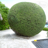 фото из отзыва ID 1268798