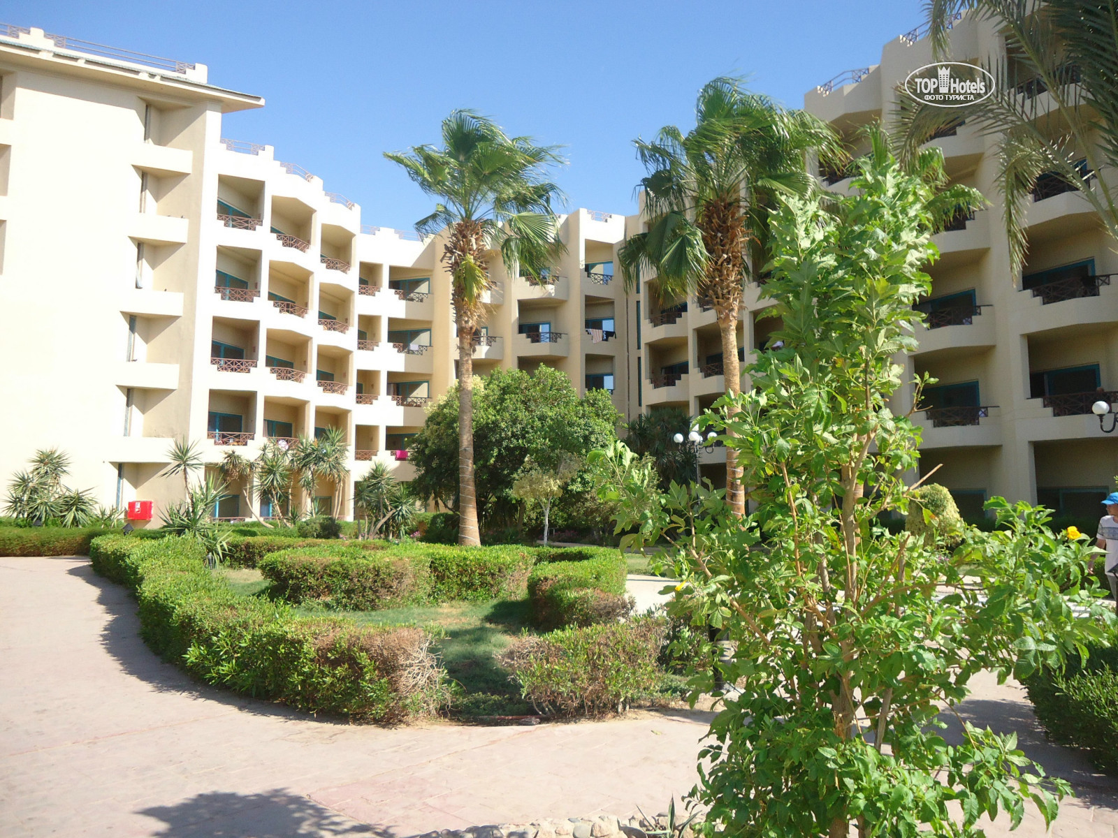 Hotelux marina beach 4. Гранд отель горизонт хургада. Hotel marina beach 4 хургада. Hotelux marina beach 4. Hotelux marina beach 4.