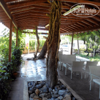 фото из отзыва ID 1274484