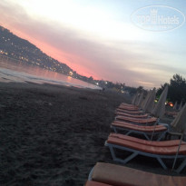 фото из отзыва ID 1276225