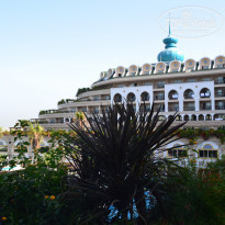 фото из отзыва ID 1278850