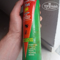 фото из отзыва ID 1280755