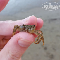 фото из отзыва ID 1280755