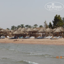 фото из отзыва ID 1280855