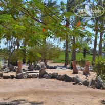 фото из отзыва ID 1281543