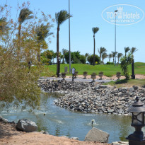 фото из отзыва ID 1281543