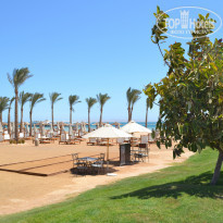 фото из отзыва ID 1281543