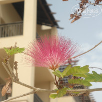 фото из отзыва ID 1281720