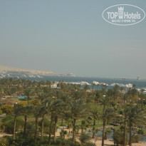 фото из отзыва ID 1281720