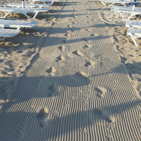 фото из отзыва ID 1281678