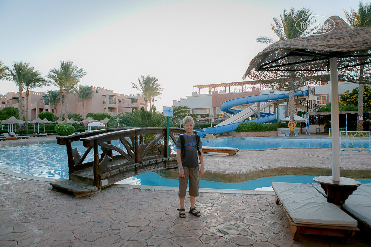 Rehana sharm resort aqua 4 отзывы