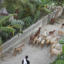 фото из отзыва ID 1285077