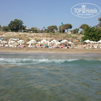 фото из отзыва ID 1285275