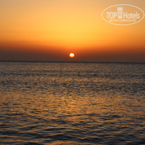 фото из отзыва ID 1286574