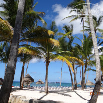 фото из отзыва ID 1287092