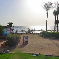 фото из отзыва ID 1291327