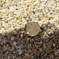 фото из отзыва ID 1301519