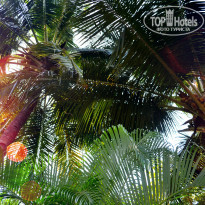 фото из отзыва ID 1302227