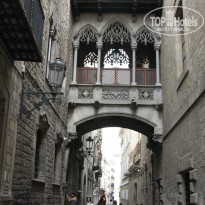 фото из отзыва ID 1304478