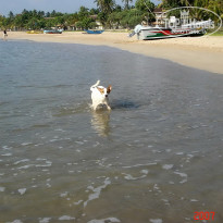 фото из отзыва ID 1302108