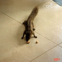 фото из отзыва ID 1302108