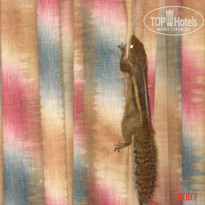 фото из отзыва ID 1302108