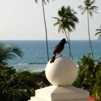 фото из отзыва ID 1302108