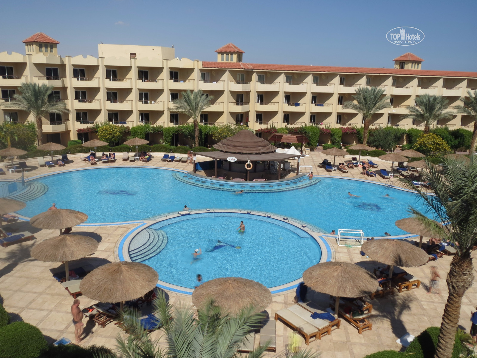 Amwaj beach club resort. Альбатрос Бич клаб Абу сома. Отель Albatros Beach Club. Albatros Beach Club 4. Отель Albatros Beach Club 5*.