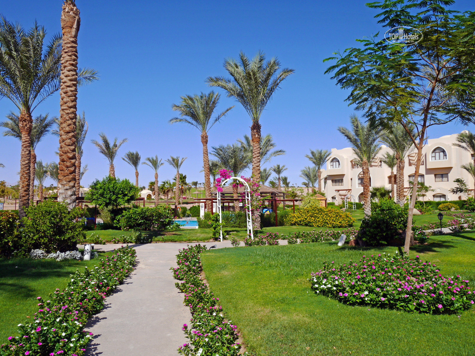 отель jaz makadi oasis resort