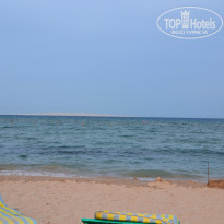 фото из отзыва ID 1311472