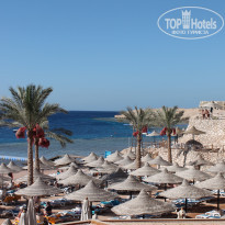 фото из отзыва ID 1311995