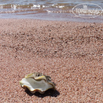 фото из отзыва ID 1311995