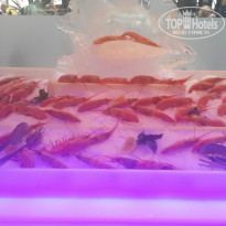 фото из отзыва ID 1312913