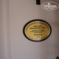 фото из отзыва ID 1314739