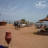 фото из отзыва ID 1314830