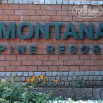 фото из отзыва ID 1314739