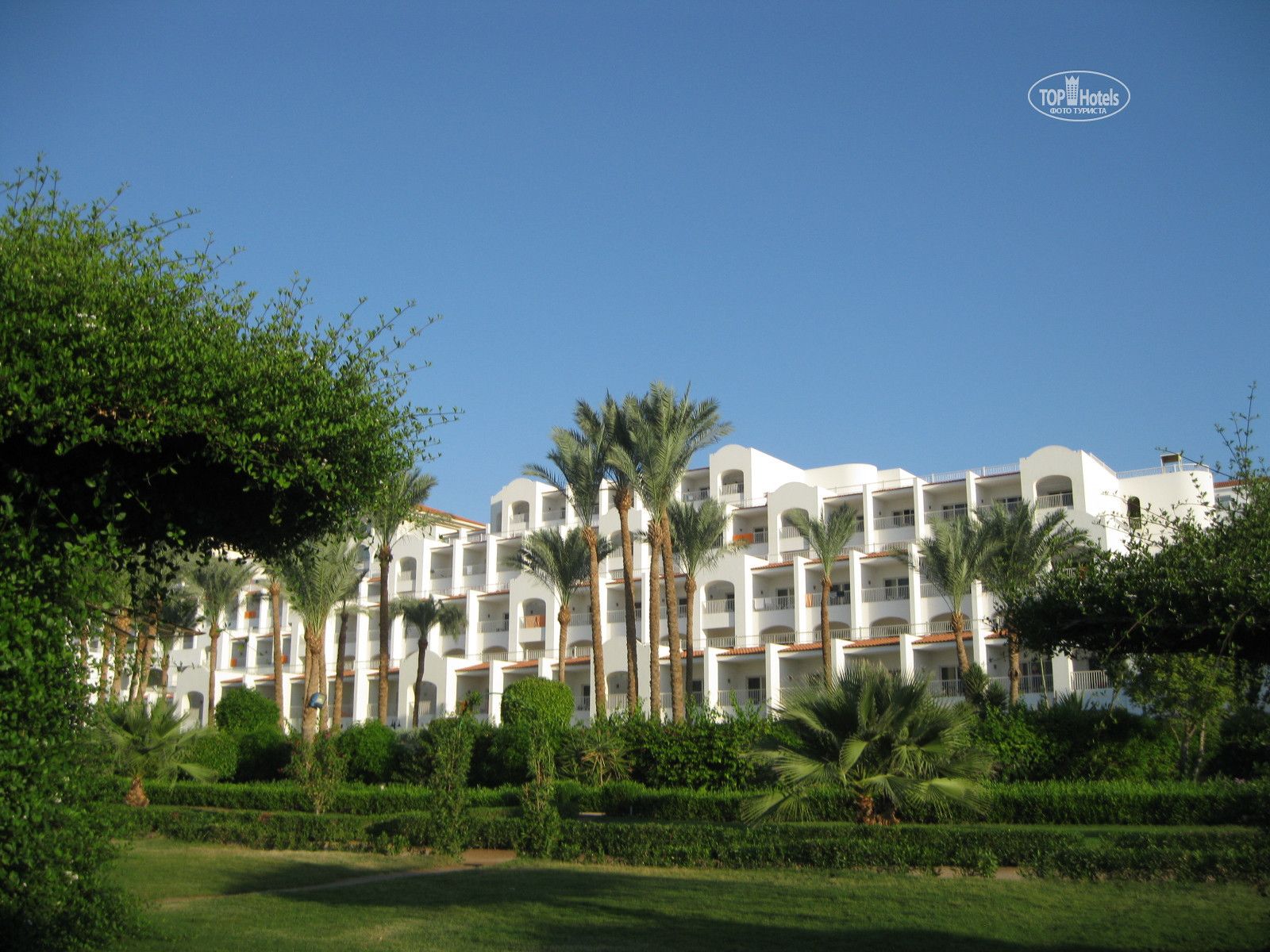 Siva sharm. Siva Sharm Resort Spa 4. Siva Sharm Resort Spa 5 Шарм-Эль-Шейх отзывы туристов.