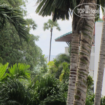 фото из отзыва ID 1316106