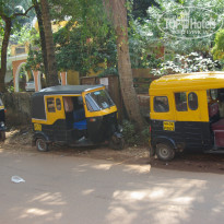 фото из отзыва ID 1317515