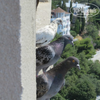 фото из отзыва ID 1317620