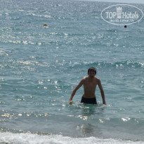 фото из отзыва ID 1317620