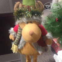 фото из отзыва ID 1318610