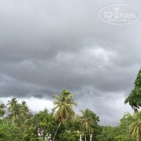 фото из отзыва ID 1310771